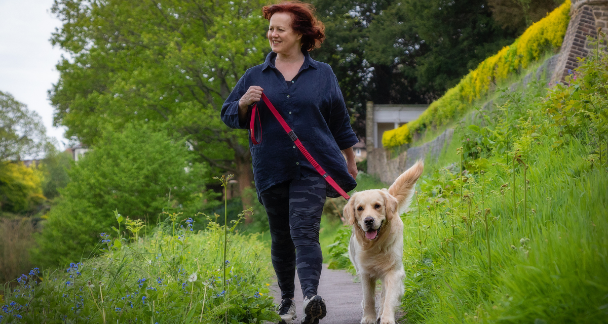 Setting Up For Success